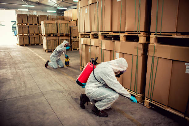 Best Pest Control Near Me in Raceland, LA