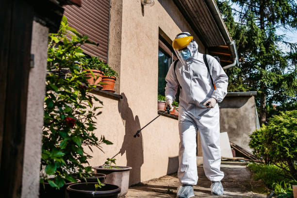 Best Affordable Pest Control Services  in Racend, LA