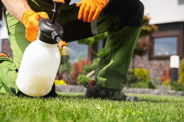 Best Exterminator Services  in Racend, LA