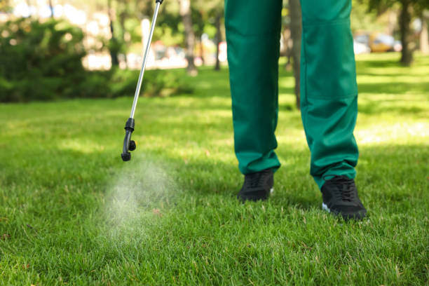 Best Emergency Pest Control  in Racend, LA