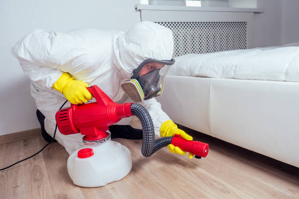 Best Best Pest Control Companies  in Racend, LA