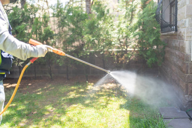Best Termite Control Services  in Racend, LA